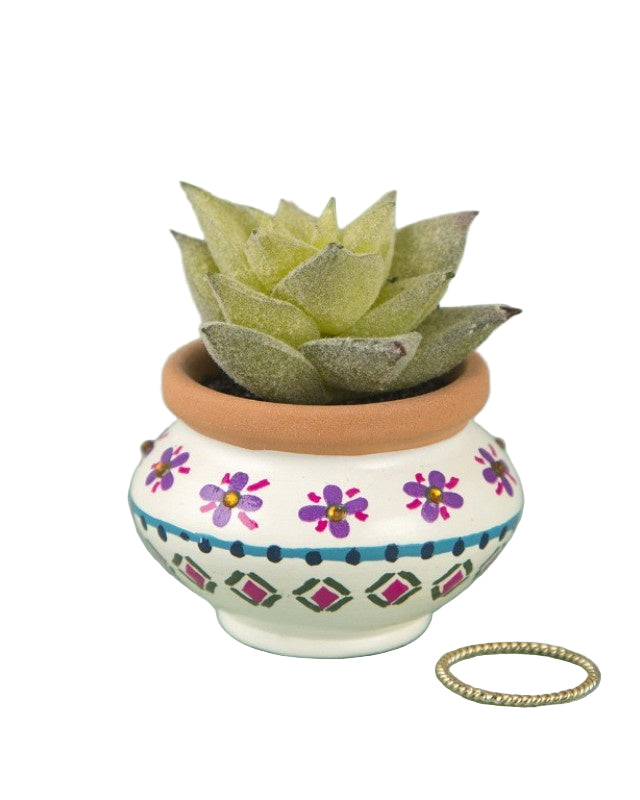 Succulent Cream and Navy Gifts and Accessories Natural Life