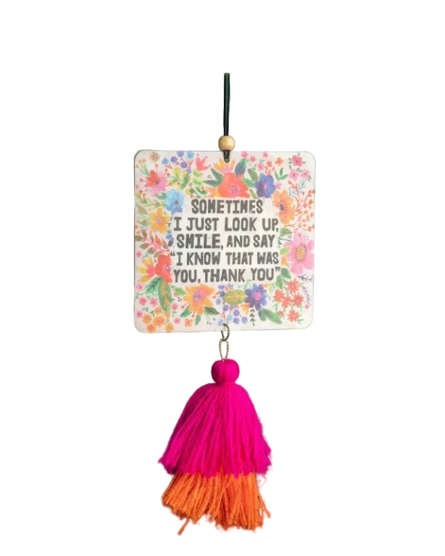 Air Freshener Sometimes Gifts and Accessories Natural Life