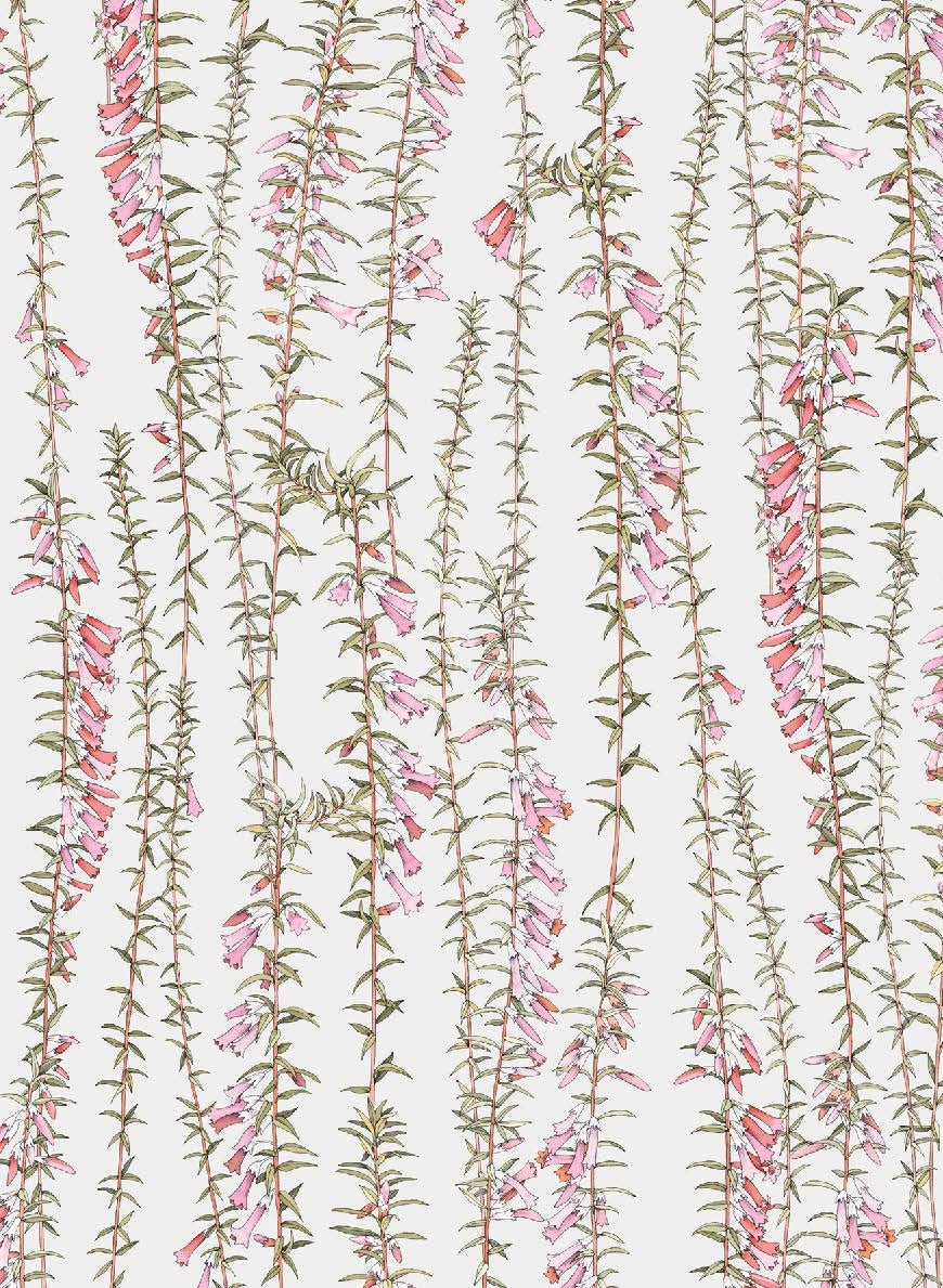 Botanicals by Edith Rewa: Gift Cards Cards and Wrap Adriana Picker