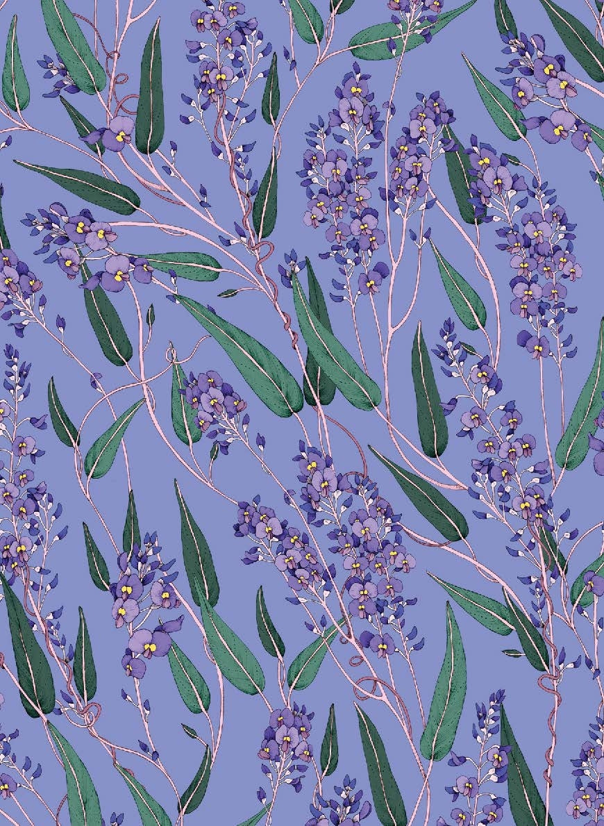 Botanicals by Edith Rewa: Gift Cards Cards and Wrap Adriana Picker