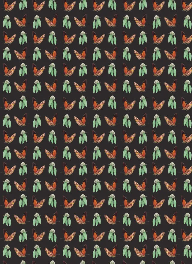 All Wrapped Up: Australian Geographic Books HARDIE & GRANT