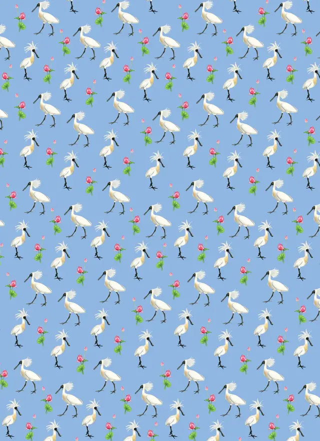 All Wrapped Up: Australian Geographic Books HARDIE & GRANT