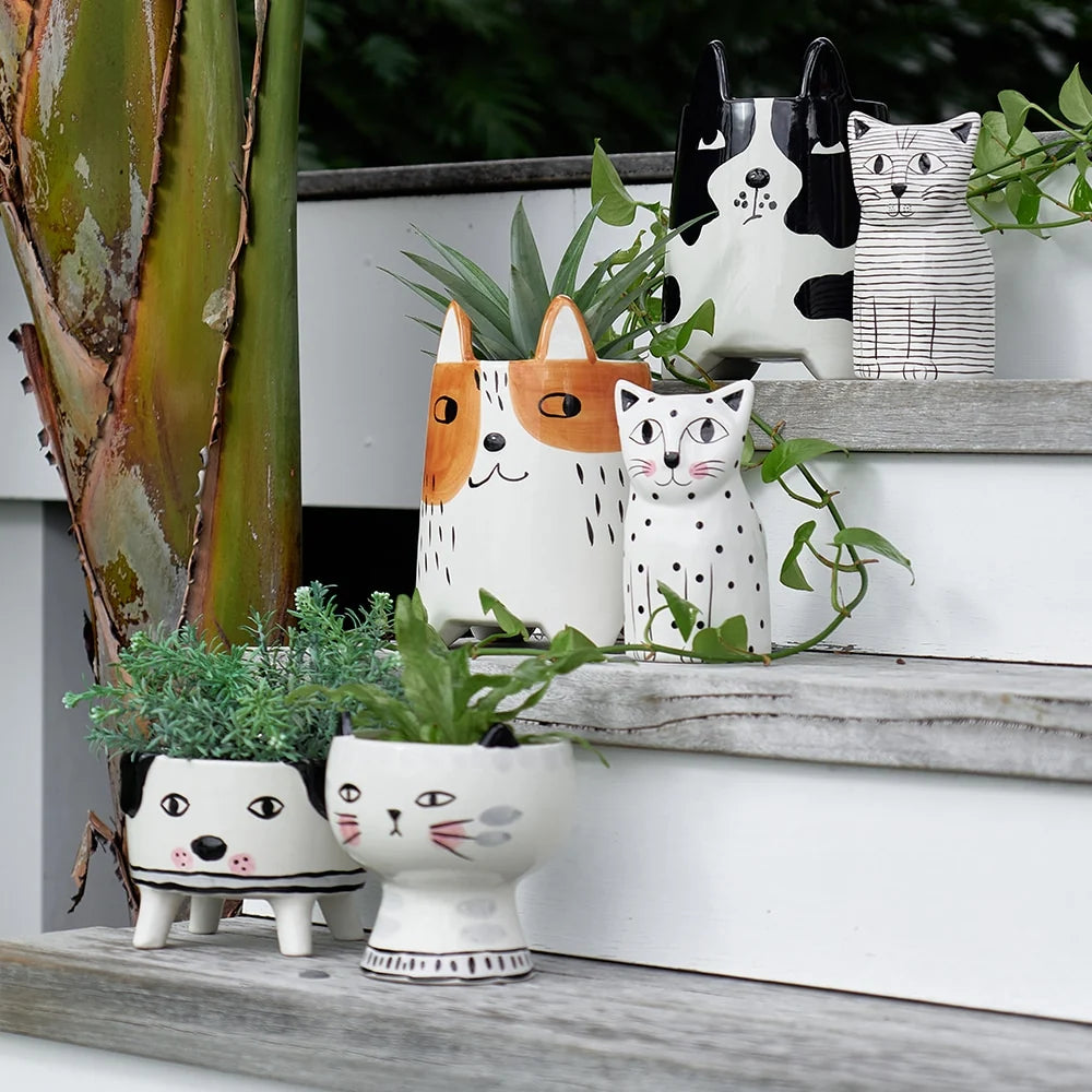 Ceramic Animal Planter Large Buddy Dog Gifts and Accessories Annabel Trends