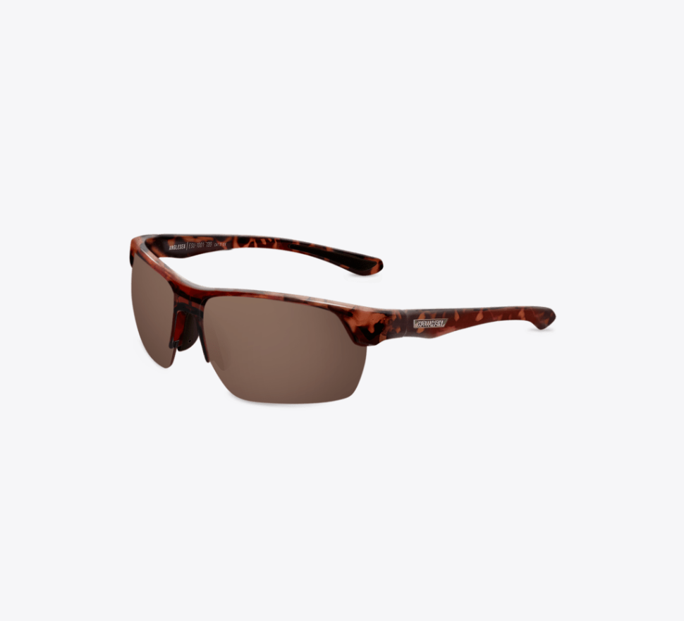 Anglesea Universal Sunglass Tort/Brown Sunglasses & Glasses White Haven
