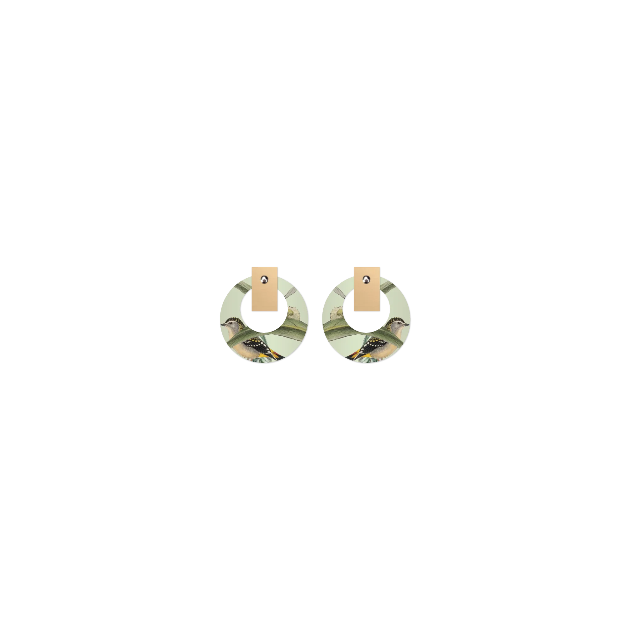 Native Birds Parrot & Pardalote Layered Small Retro Stud Earring Earrings Moe Moe