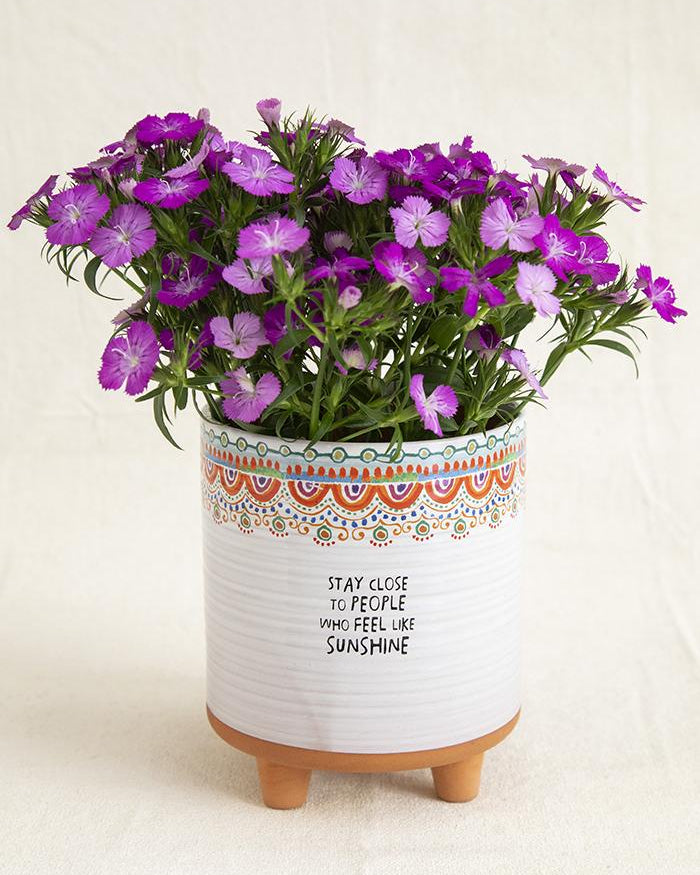 Artisan Planter Stay Close To People Who Feel Like Sunshine Gifts and Accessories Natural Life