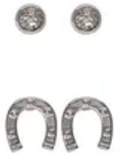 Sprinkles Horseshoe & Bord Cz Post Earring Silver/Clear Earrings Fabienne