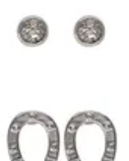 Sprinkles Horseshoe & Bord Cz Post Earring Rose Gold/Clear Earrings Fabienne