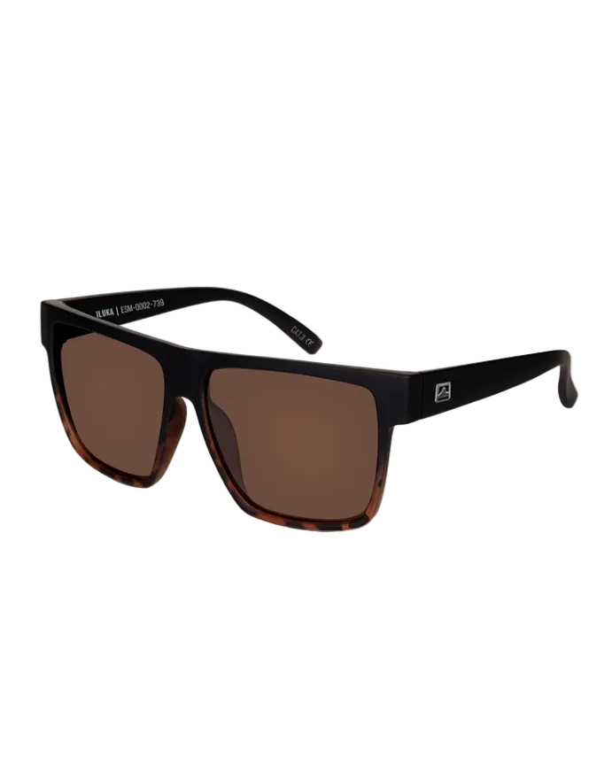Iluka Mens Sunglass Tort/Brown Sunglasses & Glasses Wollumbin