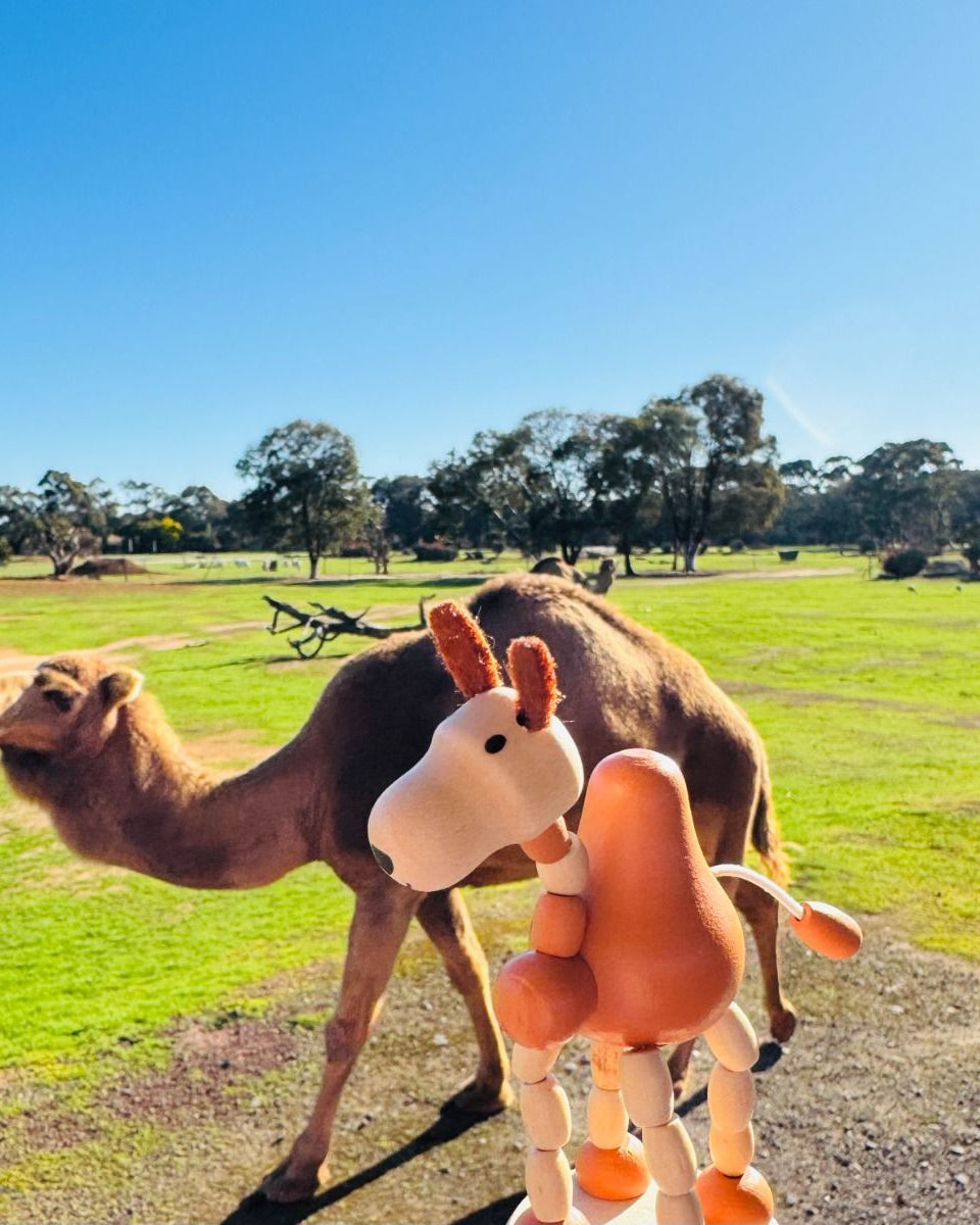 Wooden Press Toys-Animal Around the World Gifts and Accessories ToysLink