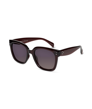 Miami Women Sunglass Wine/Merlot Sunglasses & Glasses White Haven