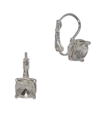 Classic Square Fw Earrings Silver/Clear Earrings Fabienne