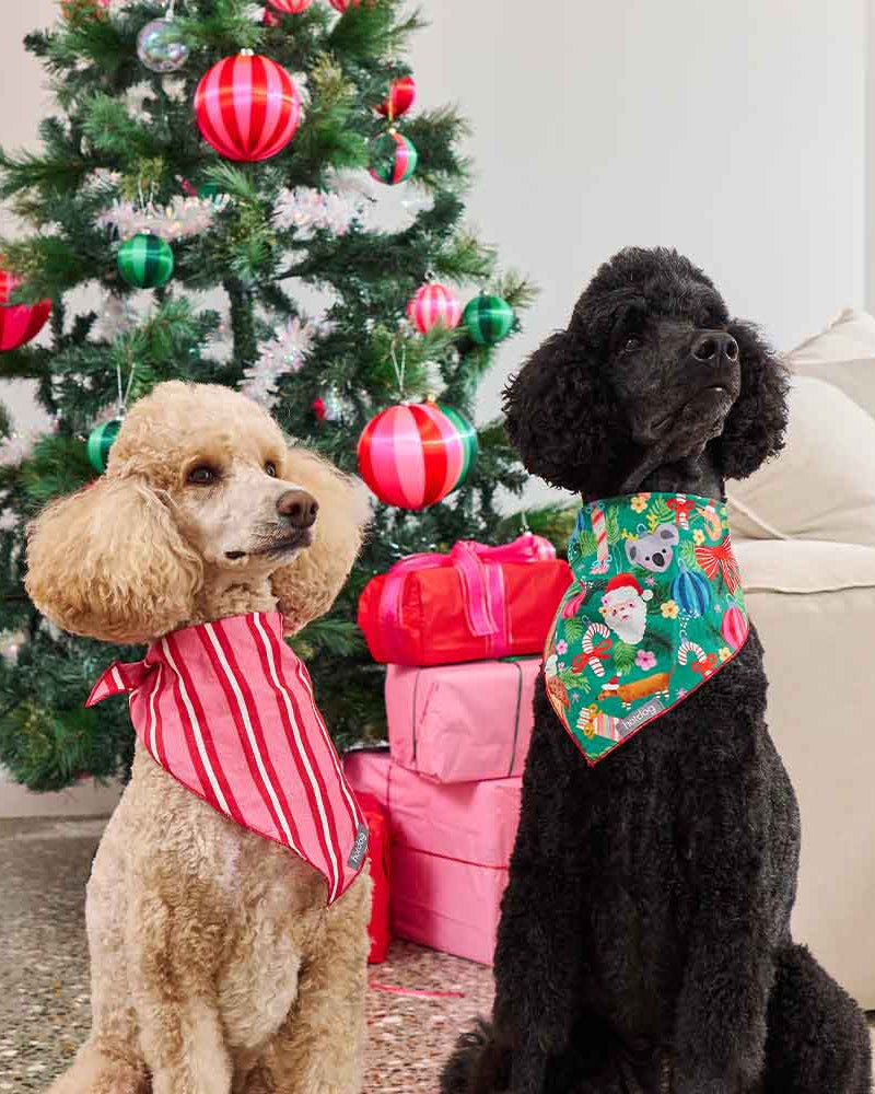 Hot Dog Bandana Cotton Deck the Palms Gifts and Accessories Annabel Trends