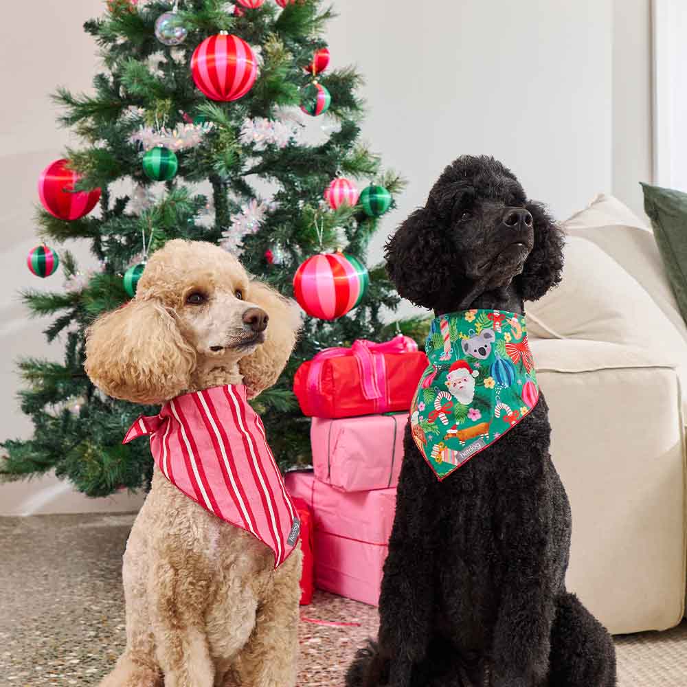 Hot Dog Bandana Cotton Deck the Palms Gifts and Accessories Annabel Trends
