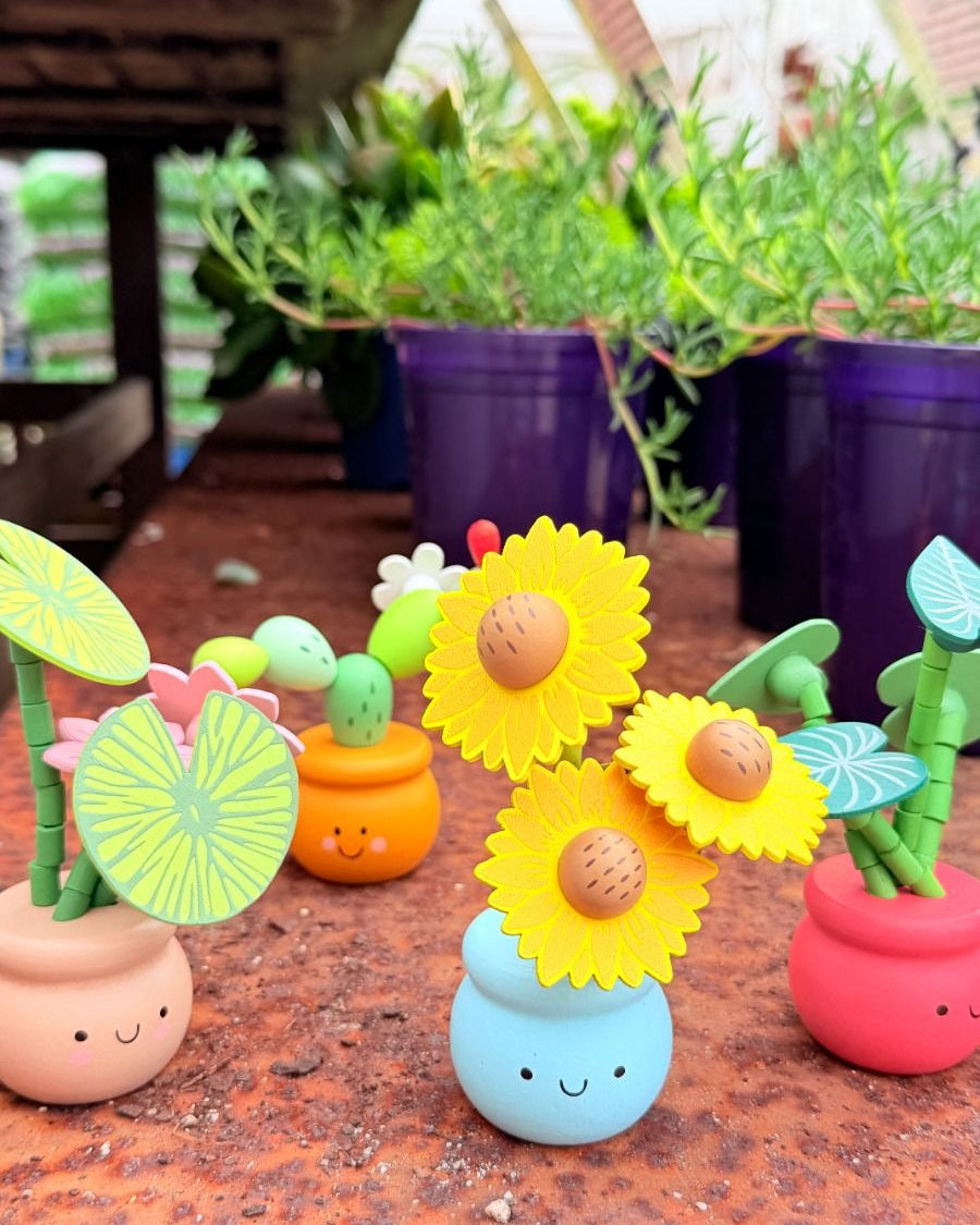 Wooden Plant Press Toy Gifts and Accessories ToysLink