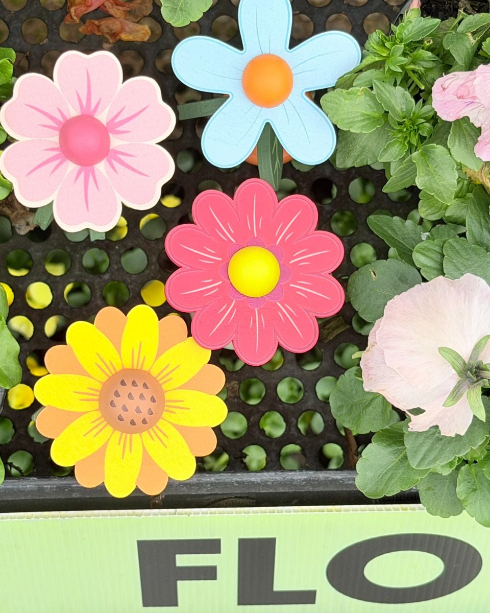 Wooden Flower Press Toy Gifts and Accessories ToysLink