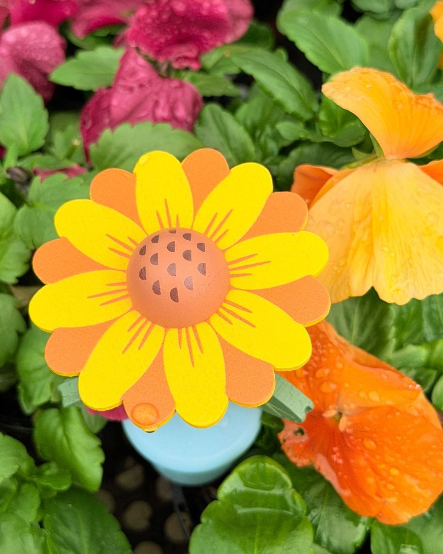 Wooden Flower Press Toy Gifts and Accessories ToysLink