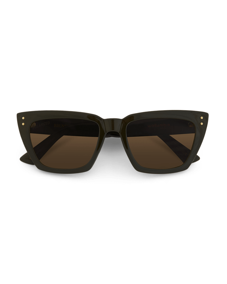Brunswick Womens Sunglass Forest/Brown Sunglasses & Glasses Wollumbin