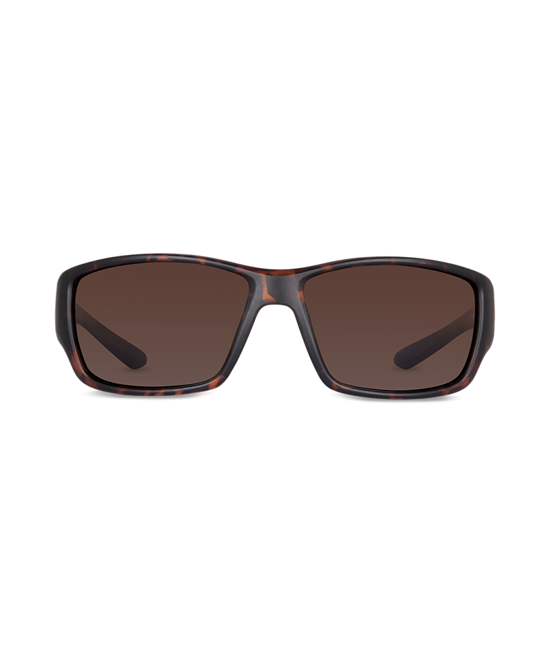 Mens Sunglass Stradbroke Tort Brown - Global Free Style