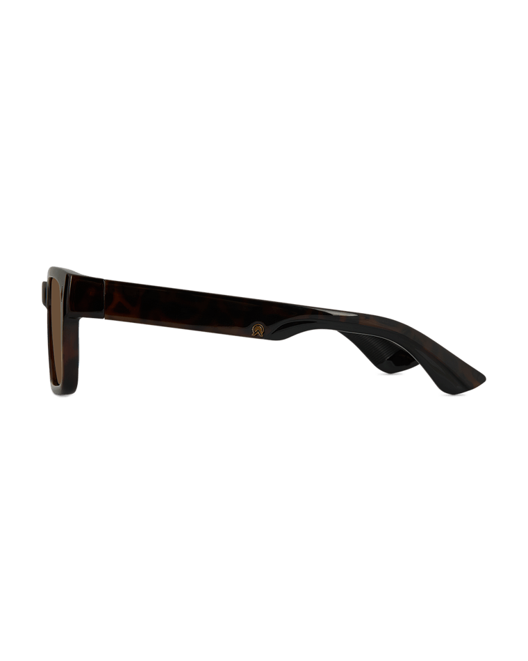 Kirra Mens Sunglass Tort/Brown Sunglasses & Glasses Wollumbin