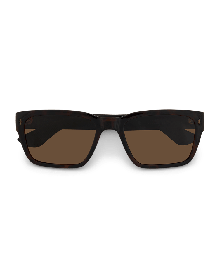 Kirra Mens Sunglass Tort/Brown Sunglasses & Glasses Wollumbin