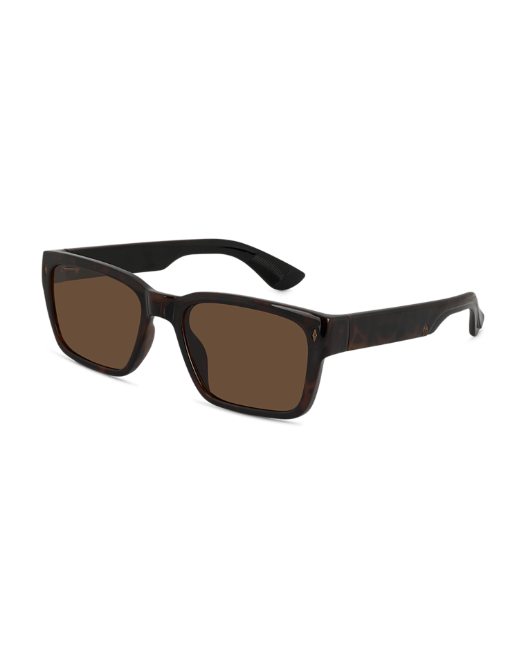 Kirra Mens Sunglass Tort/Brown Sunglasses & Glasses Wollumbin