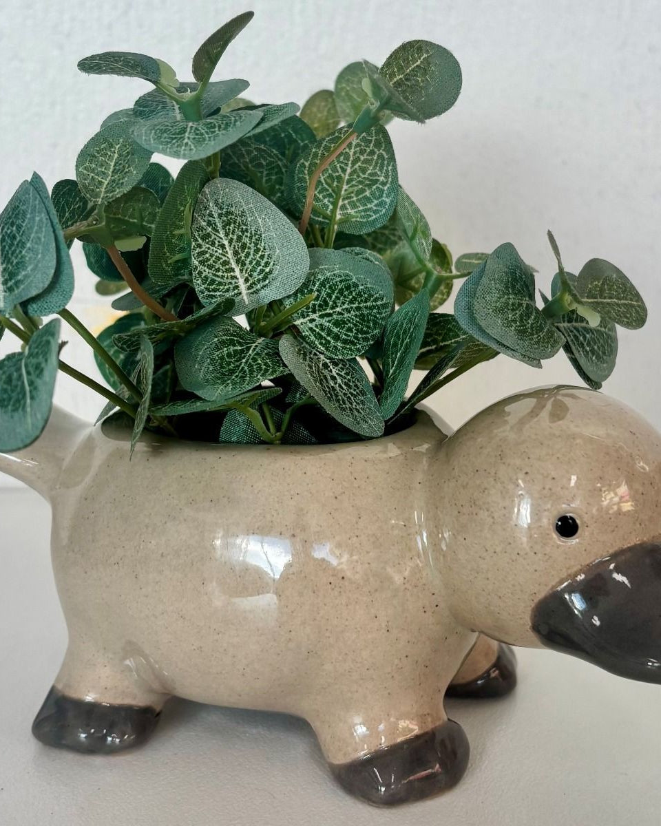 Platypus Planter Brown 15cm - Global Free Style
