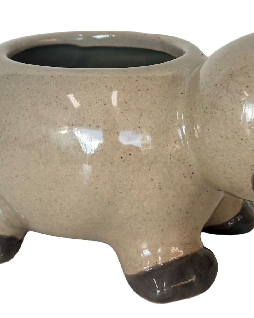 Platypus Planter Brown 15cm - Global Free Style