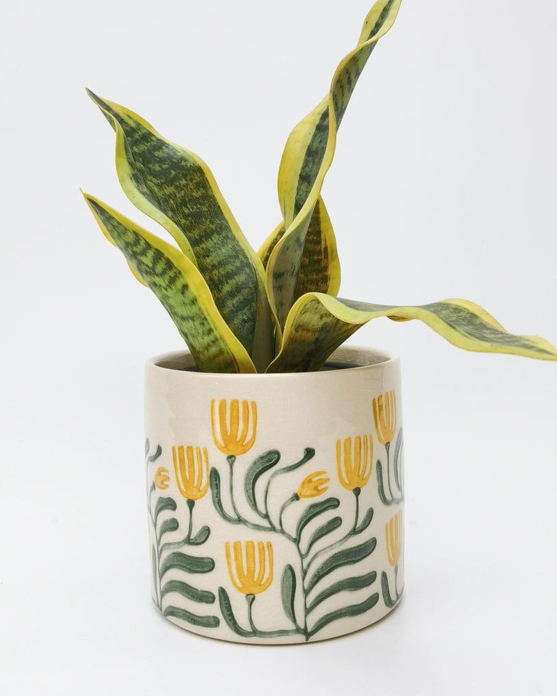 Pilbra Planter Green & Yellow Med 13cm - Global Free Style