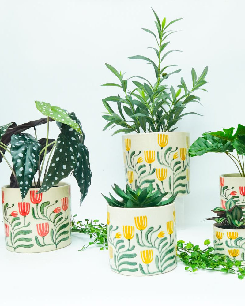 Pilbra Planter Green & Yellow Med 13cm - Global Free Style
