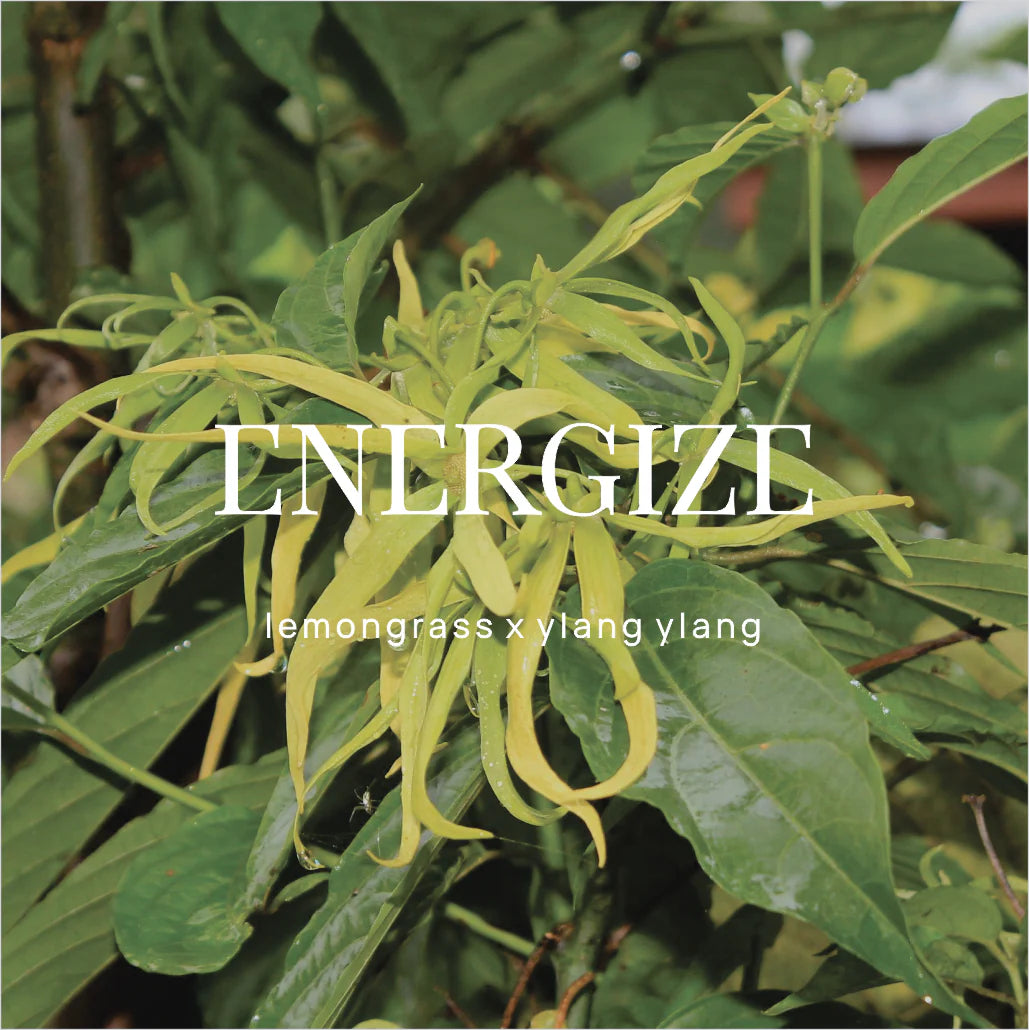 Energize Shower Steamer Body Wild Emery