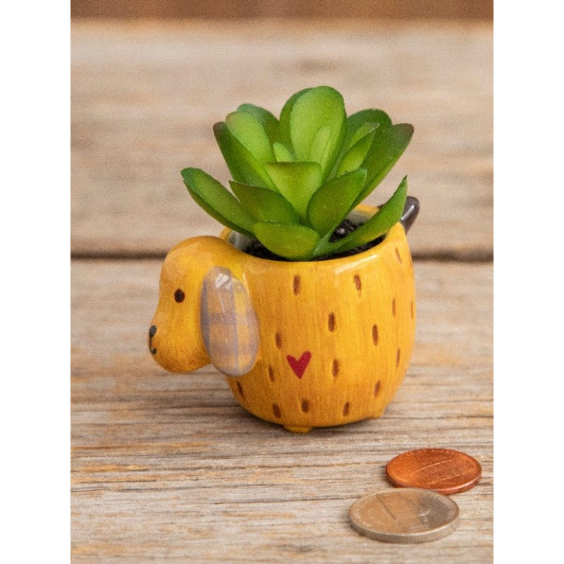 Critter Succulent Yellow Dog - Global Free Style