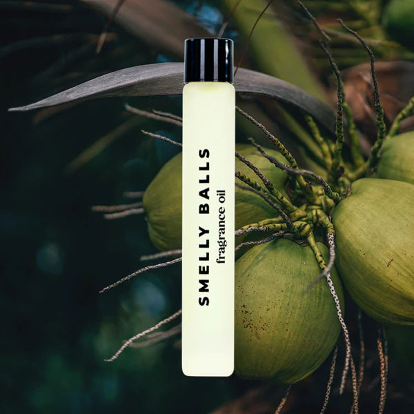 Smelly Balls Fragrance Oil 15Ml Gifts and Accessories Smelly Balls Coconut + Lime