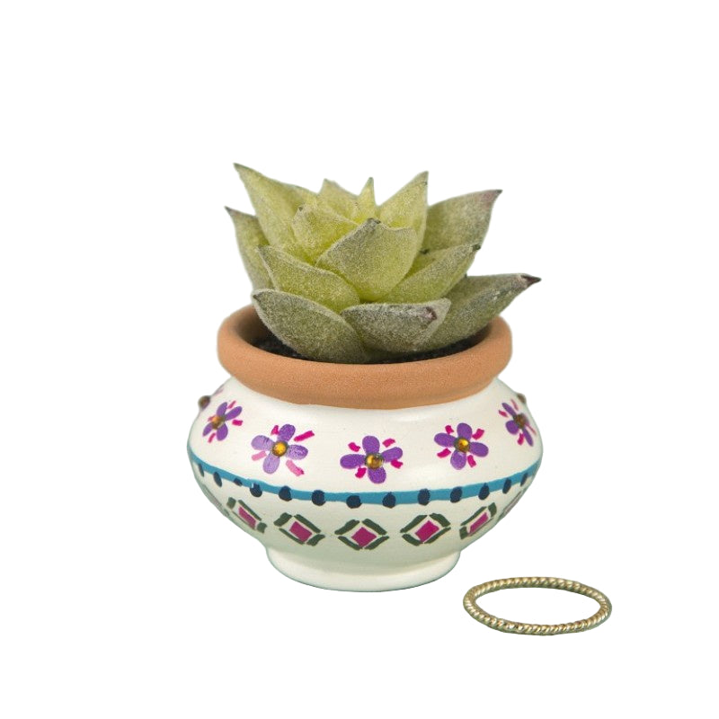 Succulent Cream and Navy Gifts and Accessories Natural Life