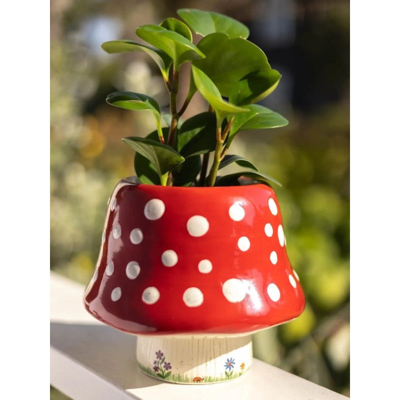 Ceramic Planter Red Mushroom Gifts and Accessories Natural Life