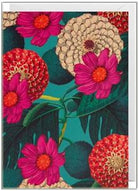 Greeting Card - Botanic Cards and Wrap Waterlyn