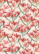 All Wrapped Up: Christmas by Jocelyn Proust Gift Cards Cards and Wrap HARDIE & GRANT