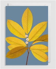Greeting Card - Silver Burnt Bloom Cards and Wrap Waterlyn
