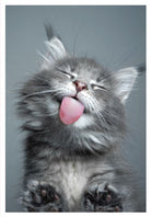 Cheeky Grey Cat Cards and Wrap Waterlyn