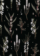 Botanicals by Edith Rewa: Gift Cards Cards and Wrap Adriana Picker