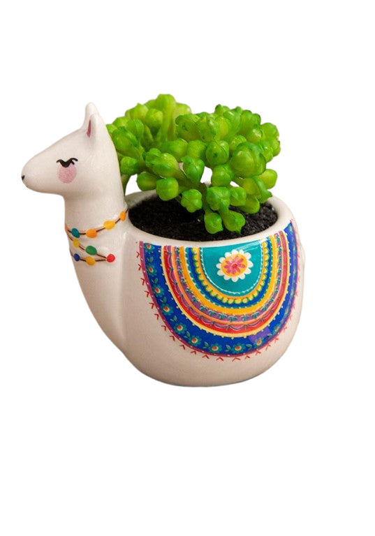 Critter Succulent Grey Llama Gifts and Accessories Natural Life   