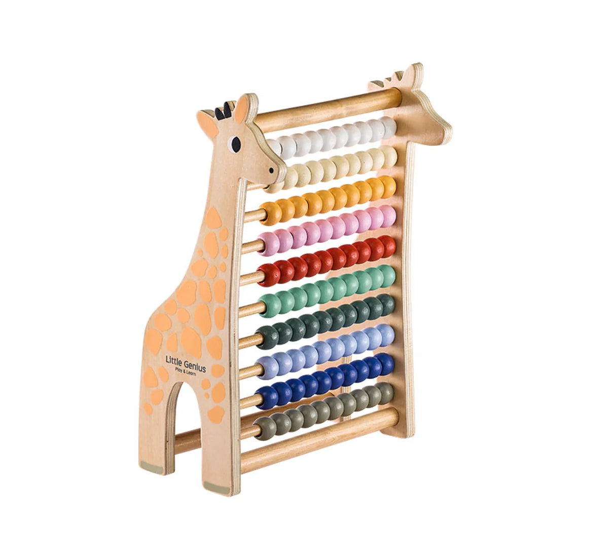 Little Genius Play & Learn - Abacus Books Lake Press