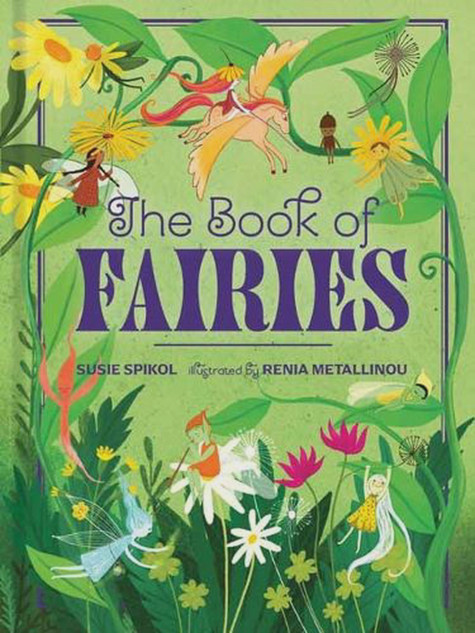 The Book of Fairies Books Susie Spikol
