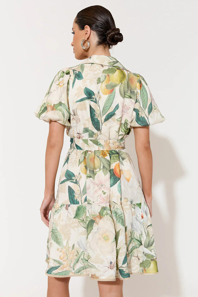 Leona Adelaide Print Dress Print Dresses Adorne   