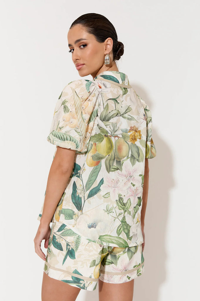 Kate Adelaide Print Short Sleeve Shirt Print Tops Adorne   