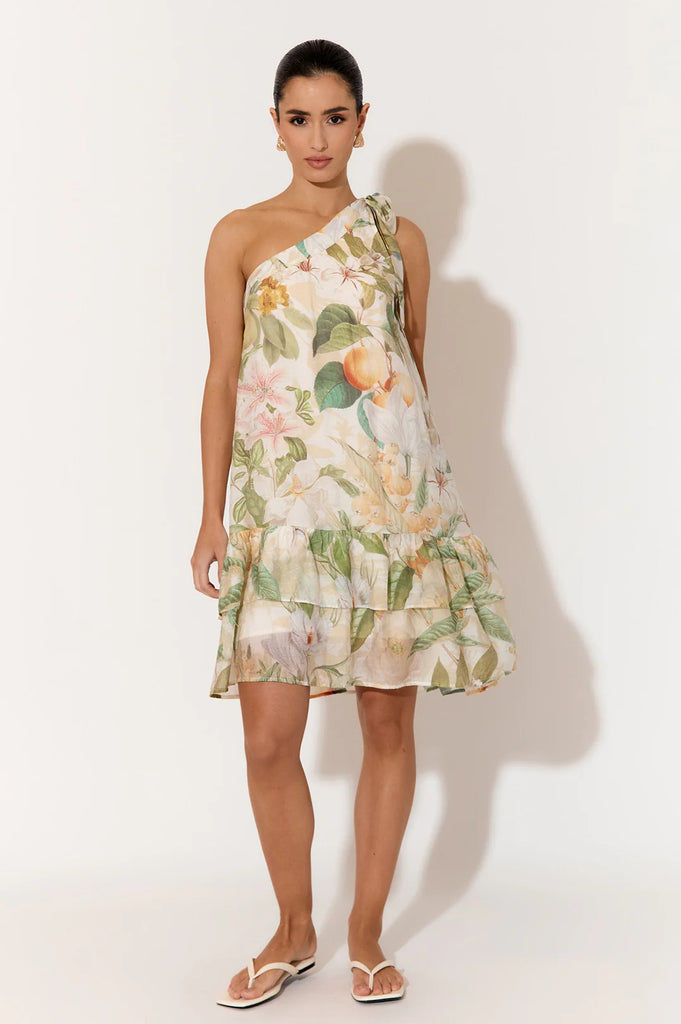 Frida Adelaide Print Short Dress Print Dresses Adorne   