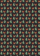 All Wrapped Up: Australian Geographic Books HARDIE & GRANT