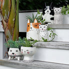 Ceramic Animal Planter Large Buddy Dog Gifts and Accessories Annabel Trends