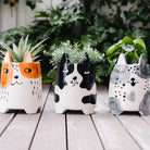 Ceramic Animal Planter Large Daisy Dog Gifts and Accessories Annabel Trends