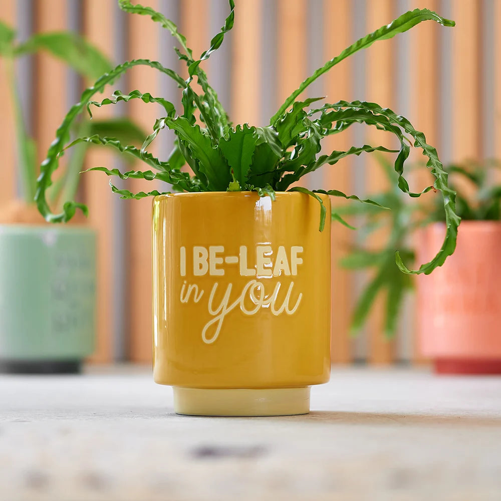 Ceramic Planters I Be-Leaf In You Gifts and Accessories Annabel Trends
